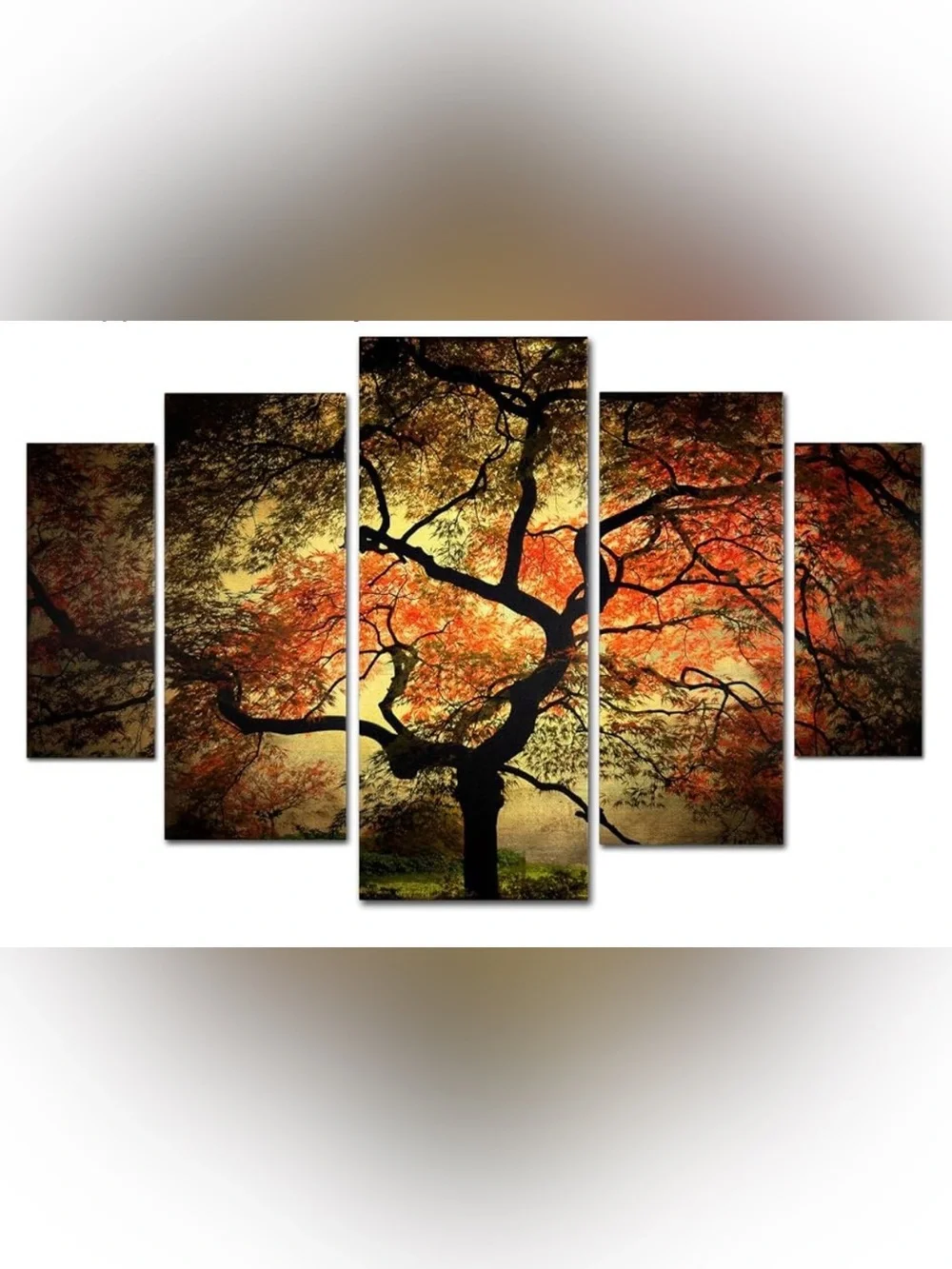 Sunlit Maple Tree Canvas Wall Art - Multicolor